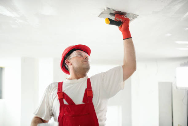 Best Ceiling Drywall Installation  in Melody Hill, IN